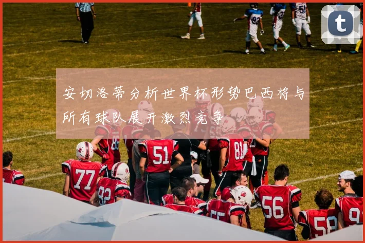 安切洛蒂分析世界杯形势巴西将与所有球队展开激烈竞争