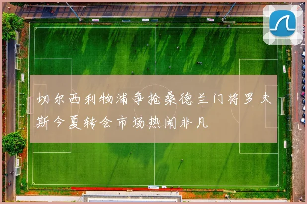 切尔西利物浦争抢桑德兰门将罗夫斯今夏转会市场热闹非凡